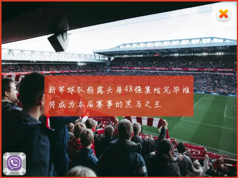 新军球队崭露头角48强集结完毕谁将成为本届赛事的黑马之王
