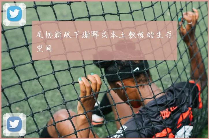足协新政下谢晖式本土教练的生存空间