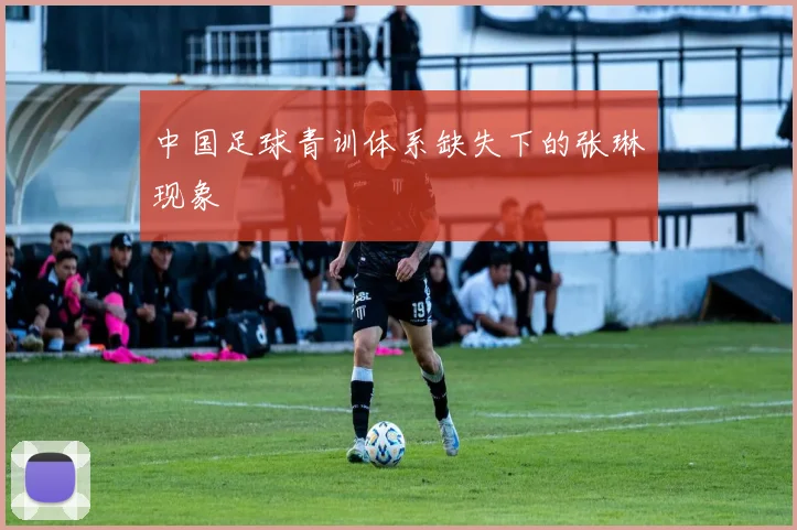 中国足球青训体系缺失下的张琳芃现象