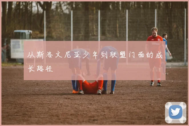 从斯洛文尼亚少年到联盟门面的成长路径